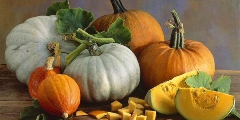 Muškatna bundeva: fotografija, korist i šteta